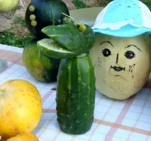У Сомівці на Святі картоплі картоплі