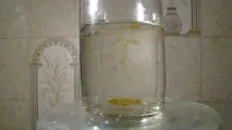 хіміки
