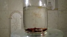 хімія