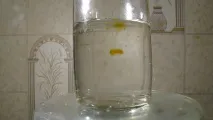 хіміки