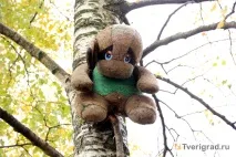У Тверській області настає пік весняної алергії області