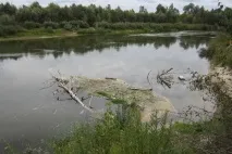 частин