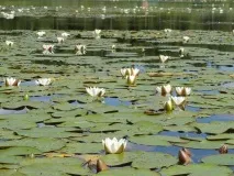 водойм