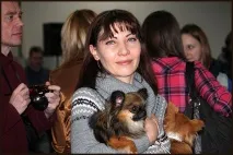 НАВІЩО ПОТРІБНА ВИСТАВКА СОБАК ЧИХУАХУА навіщо