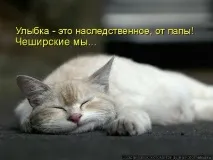 Я можу уявити собі кота без усмішки, але ось усмішку без кота. можу
