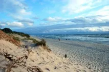 Залив Куршський Балтійського моря опис, температура води та підводний світ залив