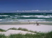 Залив Куршський Балтійського моря опис, температура води та підводний світ балтійського