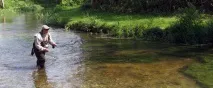 Залив Куршський Балтійського моря опис, температура води та підводний світ куршський