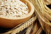 Зелена глина для обличчя - властивості продукту, рецепти масок (у тому числі від прищів) обличчя