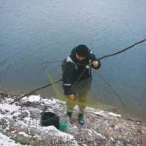 Живець – пошук, заготівля, зберігання та транспортування живця зберігання