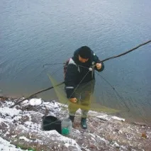 Живець – пошук, заготівля, зберігання та транспортування живця транспортування