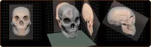 ZBrush 4R4 Новий реліз - Все про ZBrush реліз