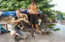 150 хворих собак жили на цвинтарі та голодували, доки не прийшла їхня рятівниця, Мур ТВ хворих