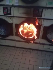фрази