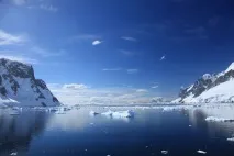 місць