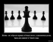 58 АННА Та гра вже в минулому ... або кішки-мишки на шахівниці - Жіночий Клуб - Мамин клуб жіночий