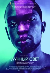 5 головних прем’єр тижня, які ми рекомендуємо до перегляду прем