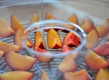 Шматочки літа сушимо фрукти та овочі, Поїхали до саду! шматочки