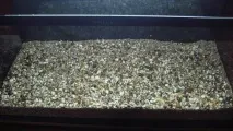 Акваріум Aquael BRILLUX 80, 112л води