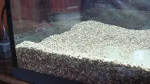 Акваріум Aquael BRILLUX 80, 112л aquael