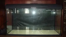 Акваріум Aquael BRILLUX 80, 112л 112л