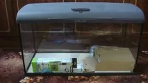 Акваріум Aquael BRILLUX 80, 112л brillux