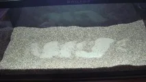Акваріум Aquael BRILLUX 80, 112л води