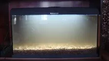 Акваріум Aquael BRILLUX 80, 112л 112л