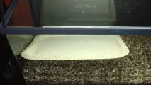 Акваріум Aquael BRILLUX 80, 112л aquael