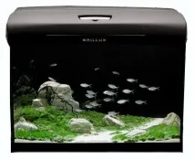 Акваріум Aquael BRILLUX 80, 112л води