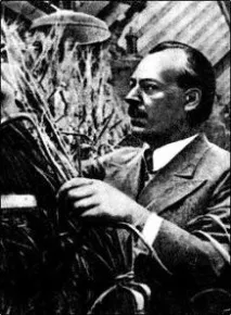Аграрний університет СПб історія та сучасність історія
