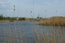 Ангарський став у Волгограді, Дороги світу світу