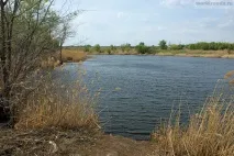 Ангарський став у Волгограді, Дороги світу ангарський