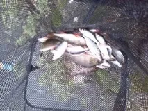Зима. Ловлення плотви в цю пору року зима