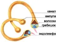 Рівновага рівновагу
