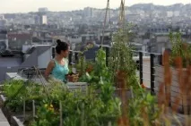 Бомби своїми руками,чи хто такі міські партизани, eco-boom бомби
