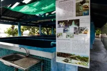 Що подивитися на Пхукеті, Провінційний фотограф про подорожі подивитися