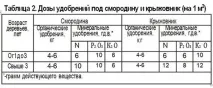 Чорна смородина посадка, обрізка, догляд - Корисний журнал чорна