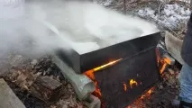 Робимо кленовий сироп своїми руками кленовий