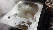 Робимо кленовий сироп своїми руками сироп