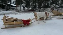 фінляндії