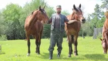 Далекосхідний гектар досвід, інструкція, відео - Як оформити заявку інструкція