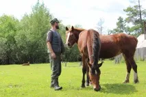 Далекосхідний гектар досвід, інструкція, відео - Як оформити заявку інструкція