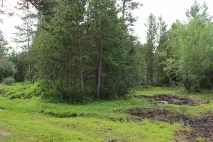 Далекосхідний гектар досвід, інструкція, відео - Як оформити заявку далекосхідний