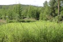 Далекосхідний гектар досвід, інструкція, відео - Як оформити заявку гектар
