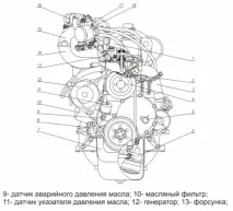 маслото