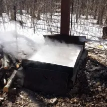 Робимо кленовий сироп своїми руками сироп