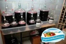 Домашнє вино з варення, що забродило - Заготовки на зиму - це варення, соління, джеми, засолювання, вино