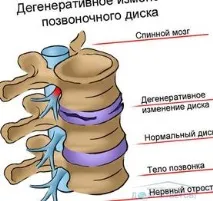 армията