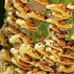 Дубовий трутовик або помилковий опис, користь та шкода, властивості дубовий